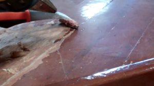 1967 lyman cruisette rot under varnish